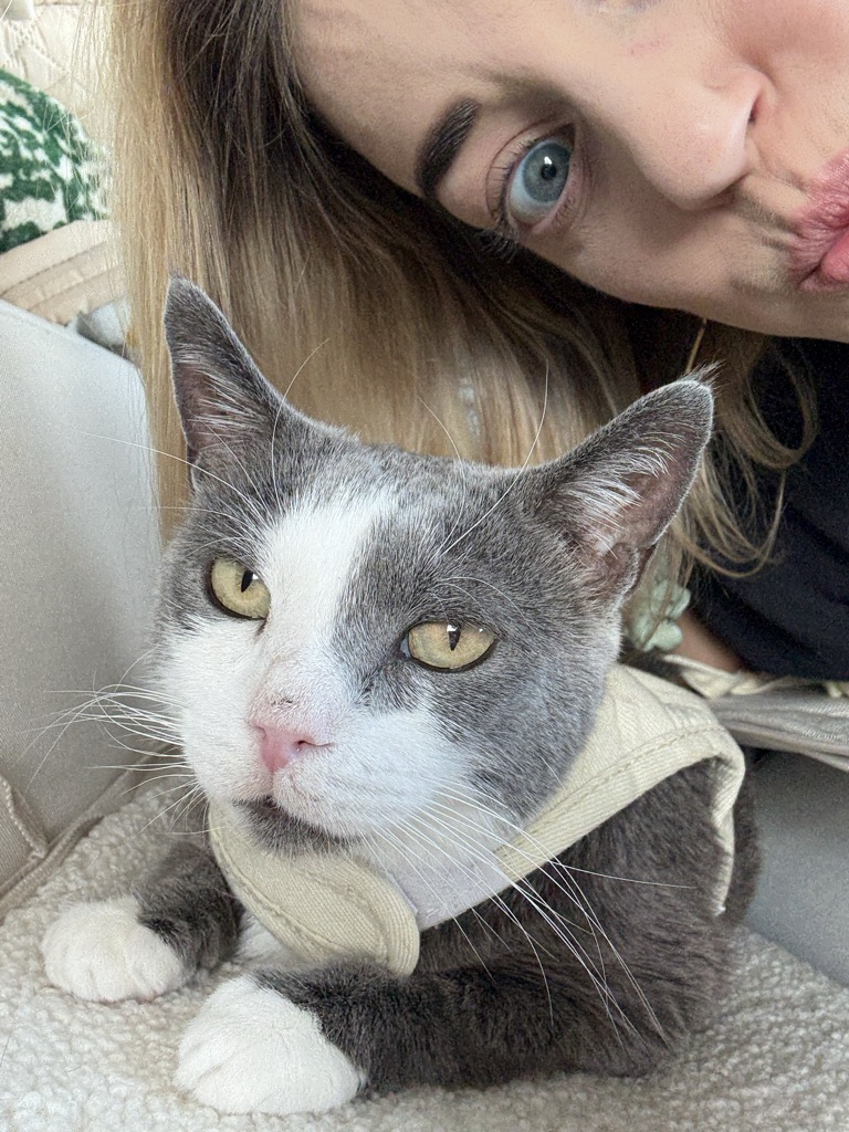 Pet