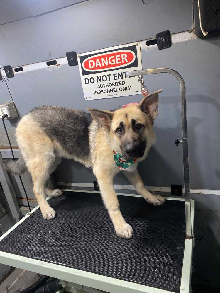 Max