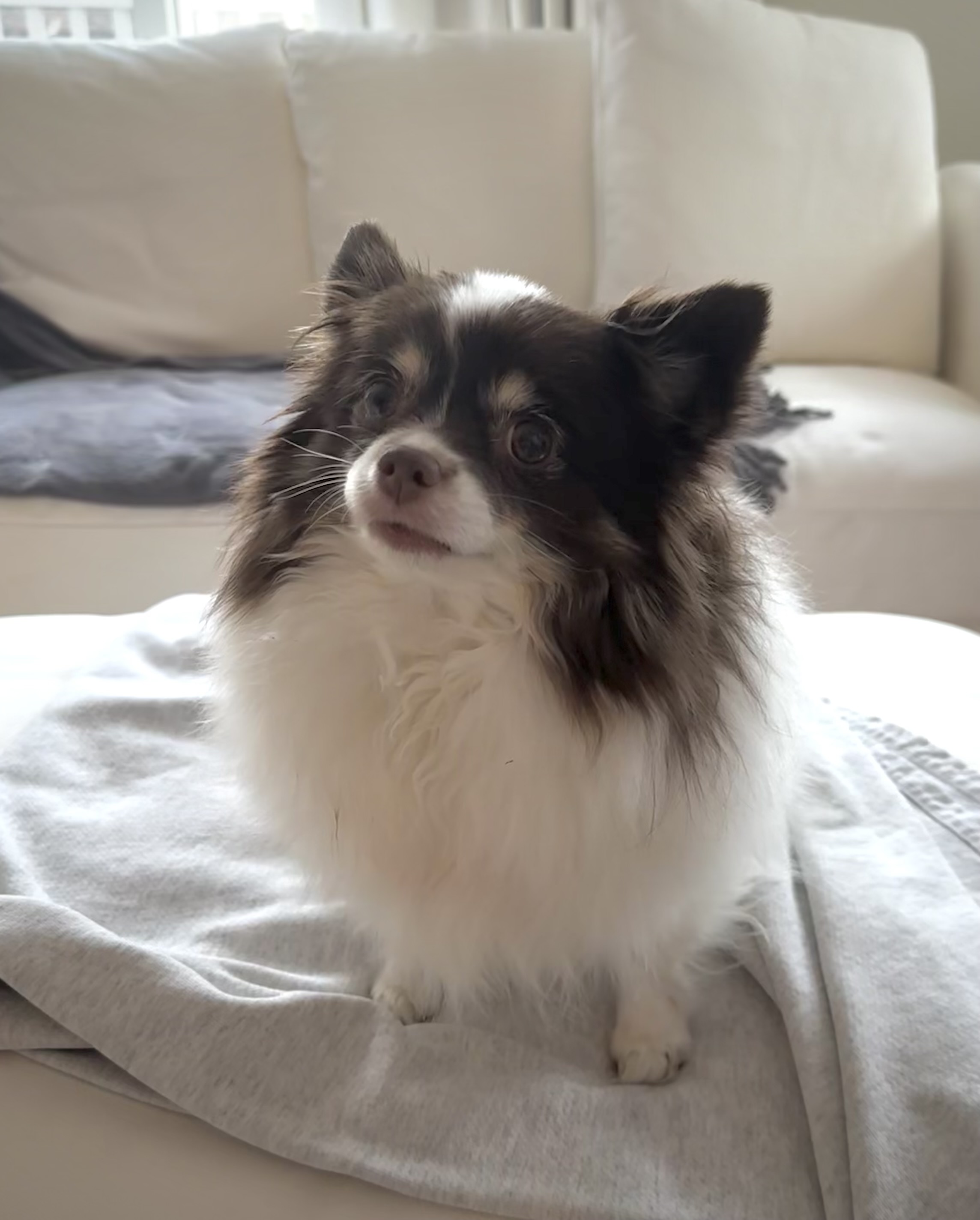 Remi