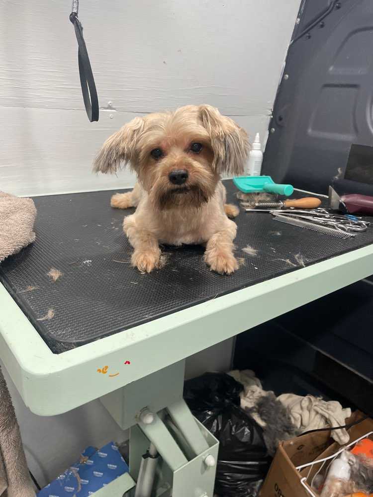 Max
