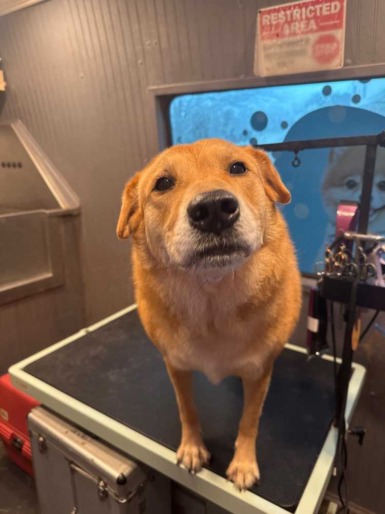 Max
