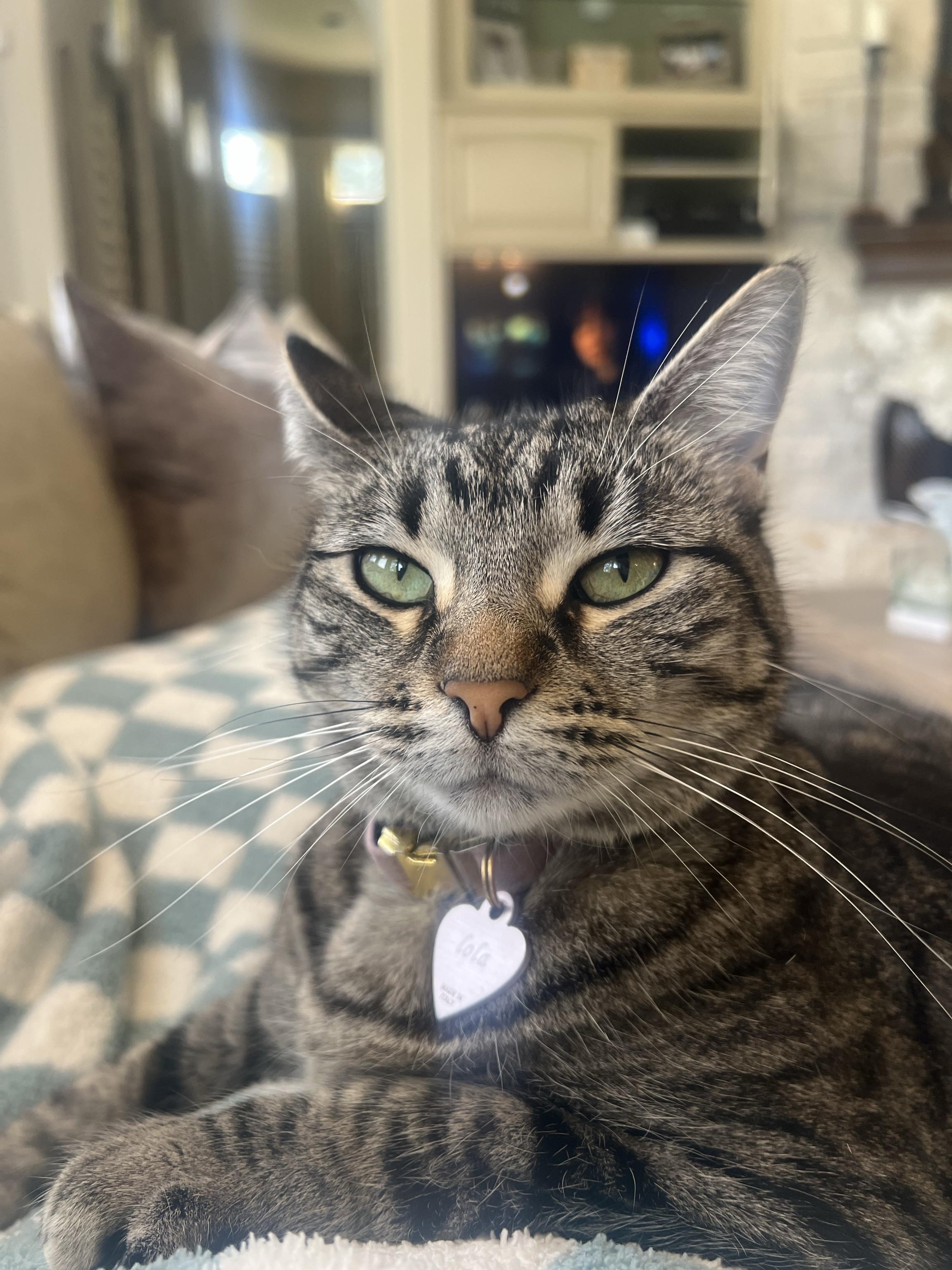 Lola