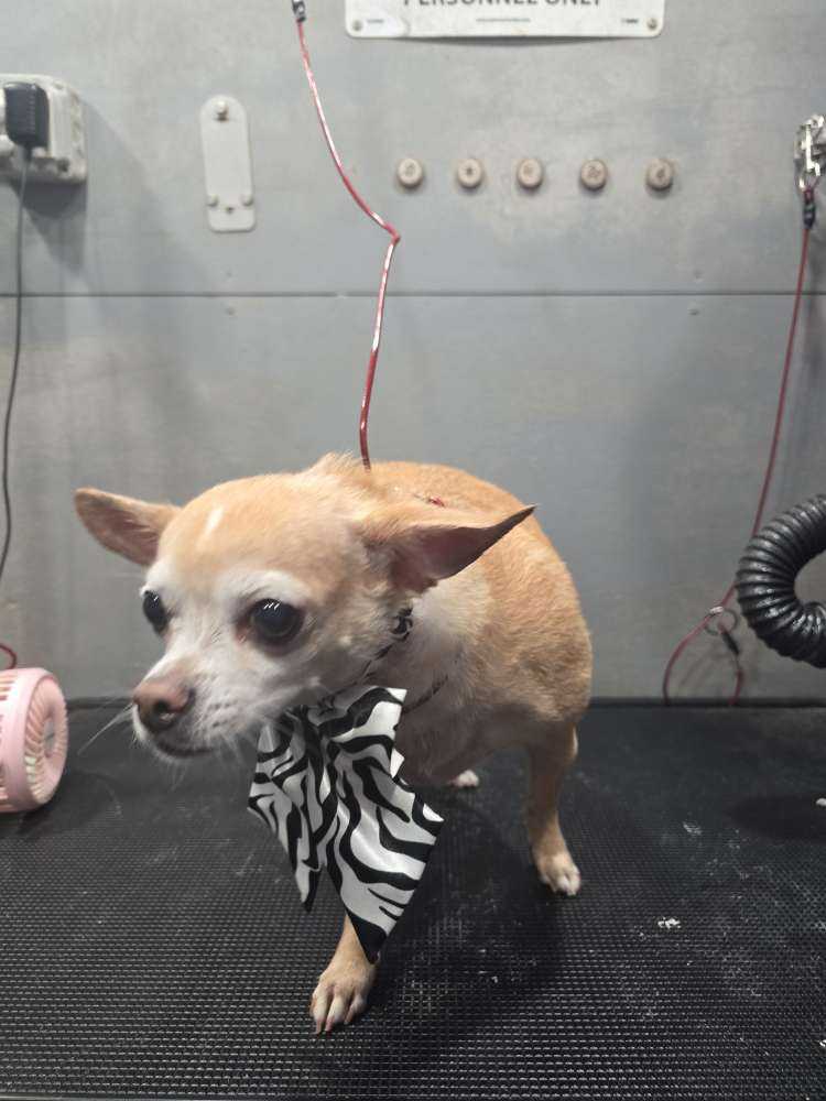 Mimi 