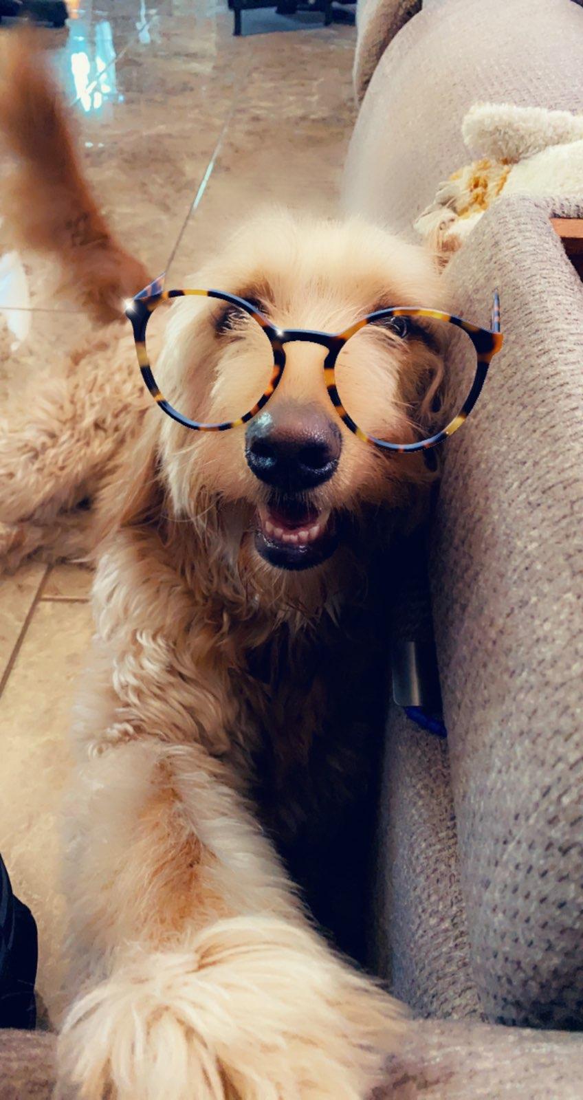 Marley