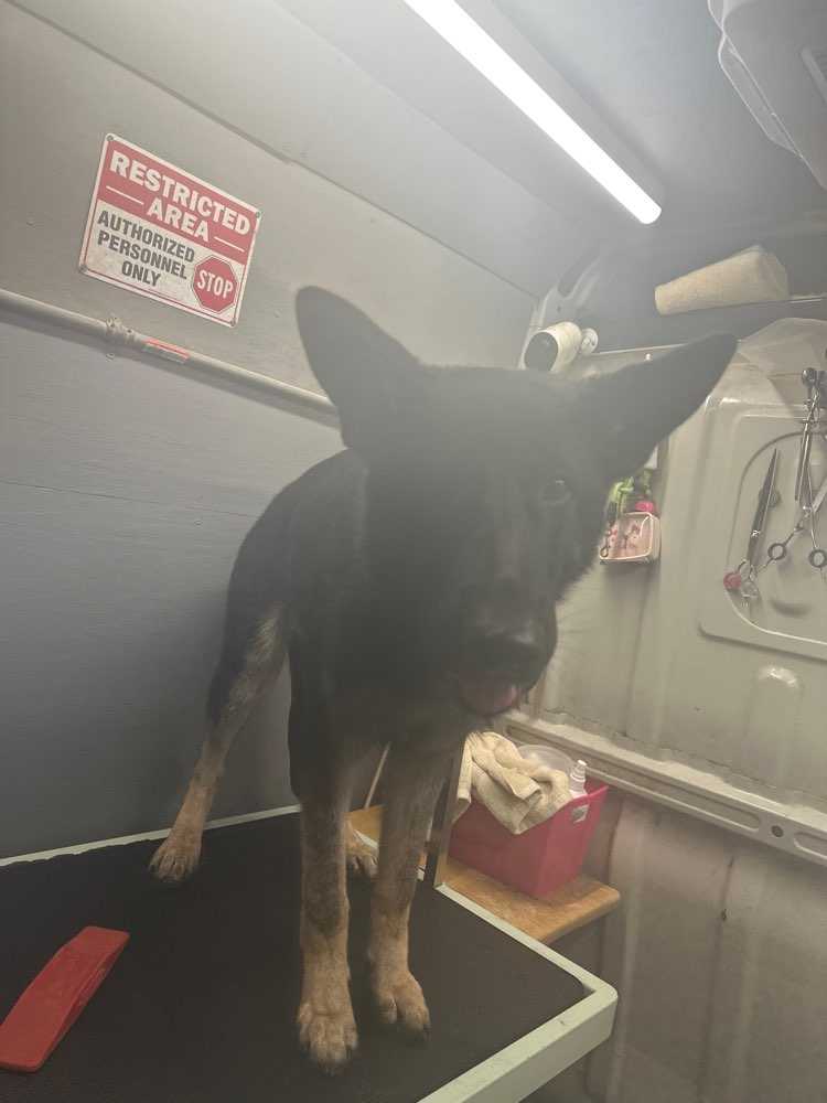 Juno