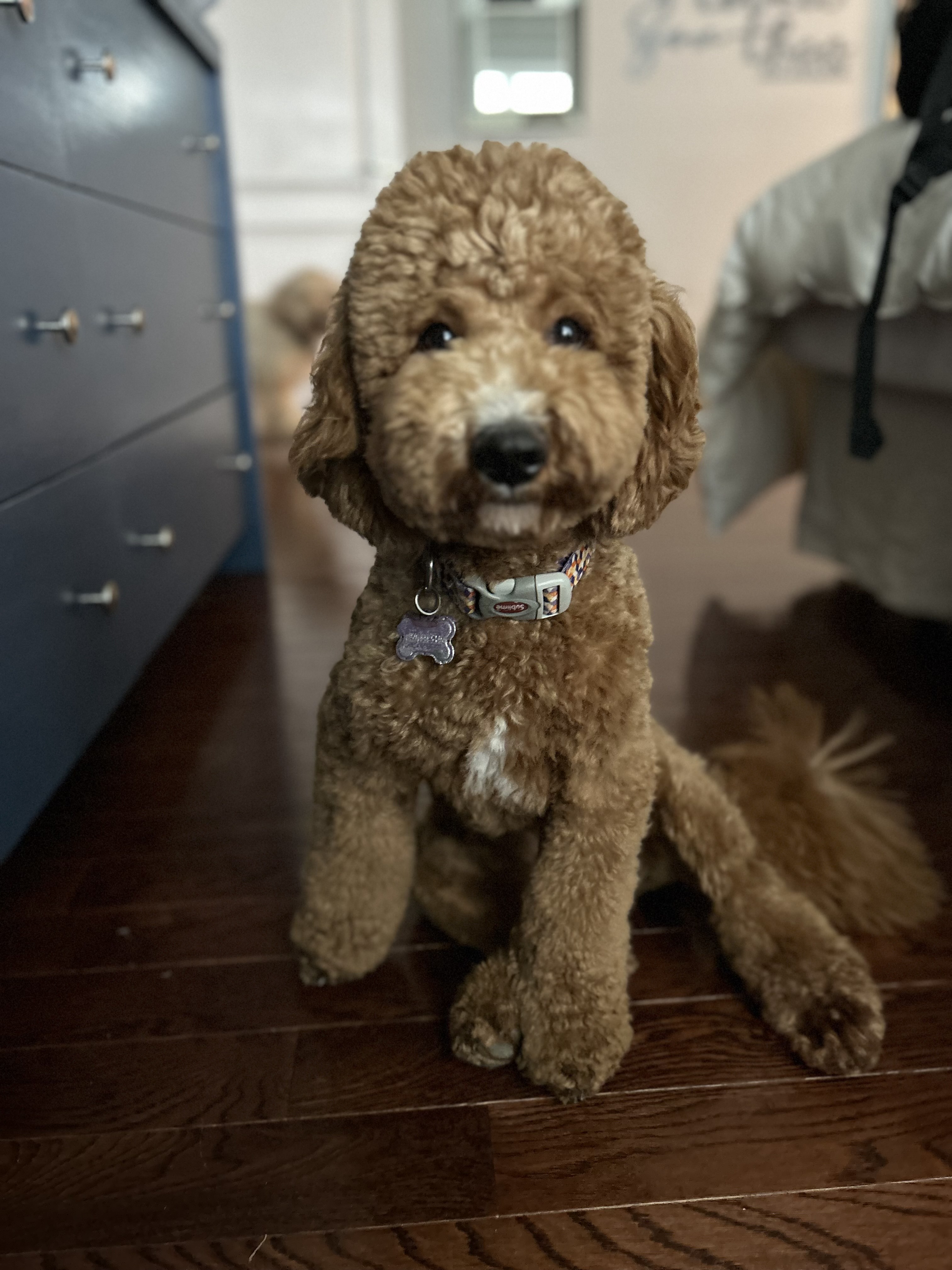 Penny