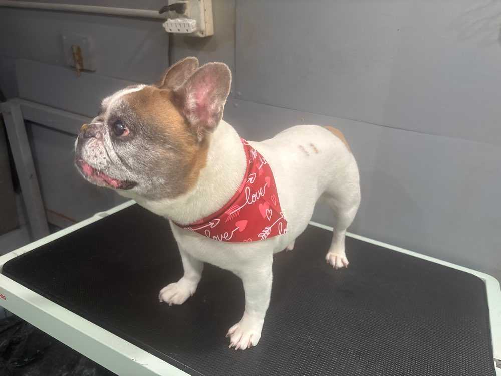 Molly