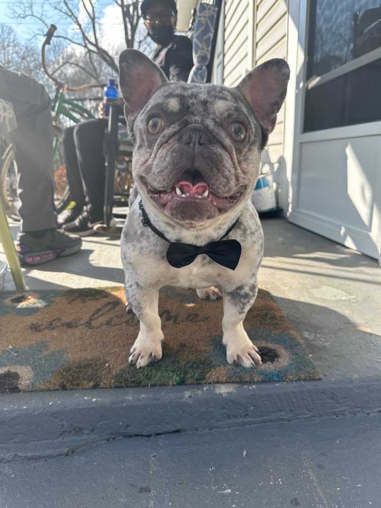 Bruce