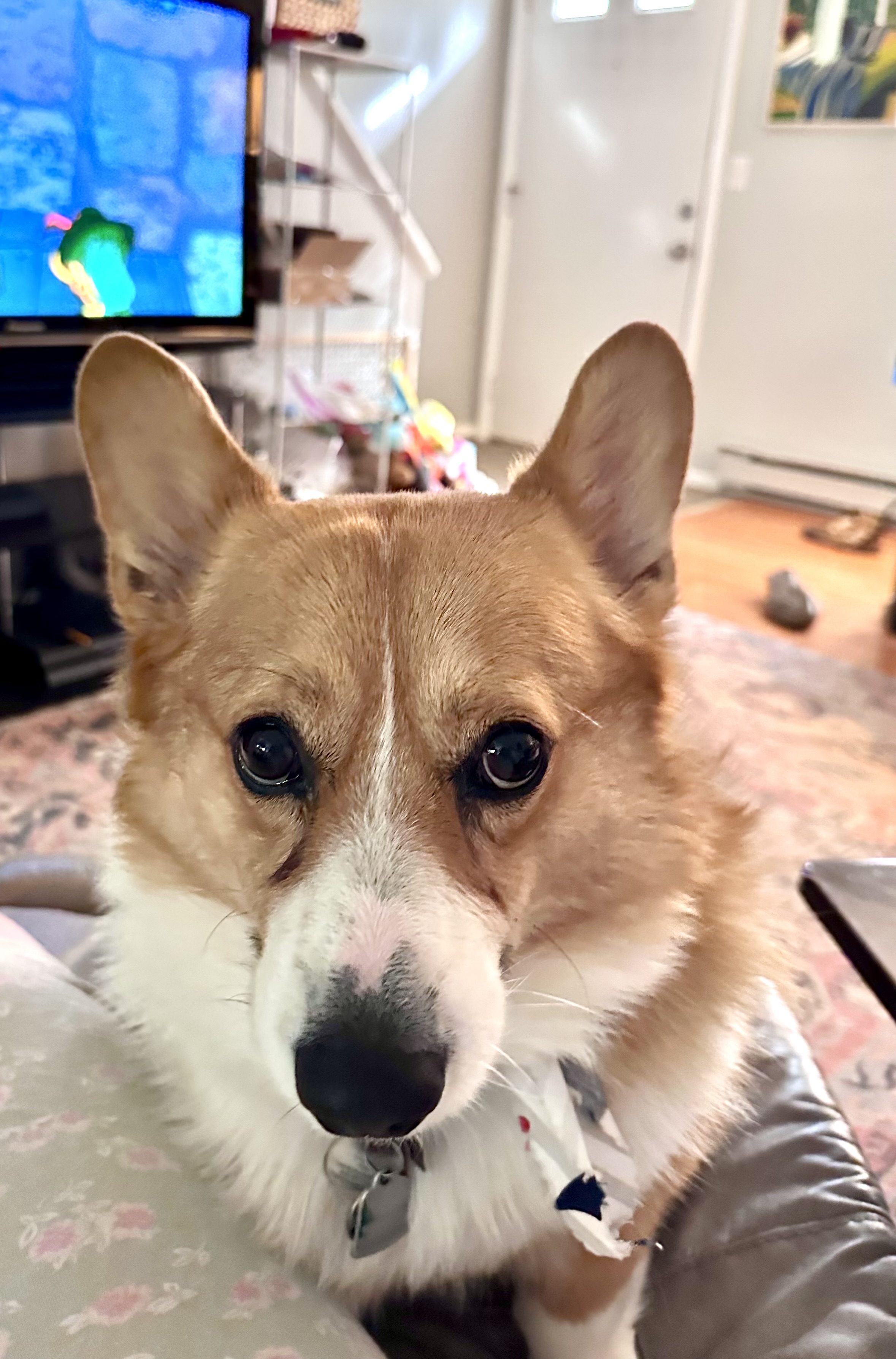 Riley