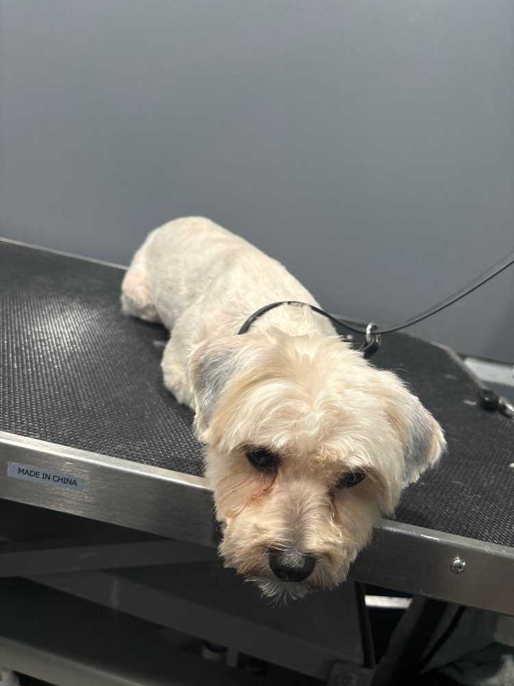 Max