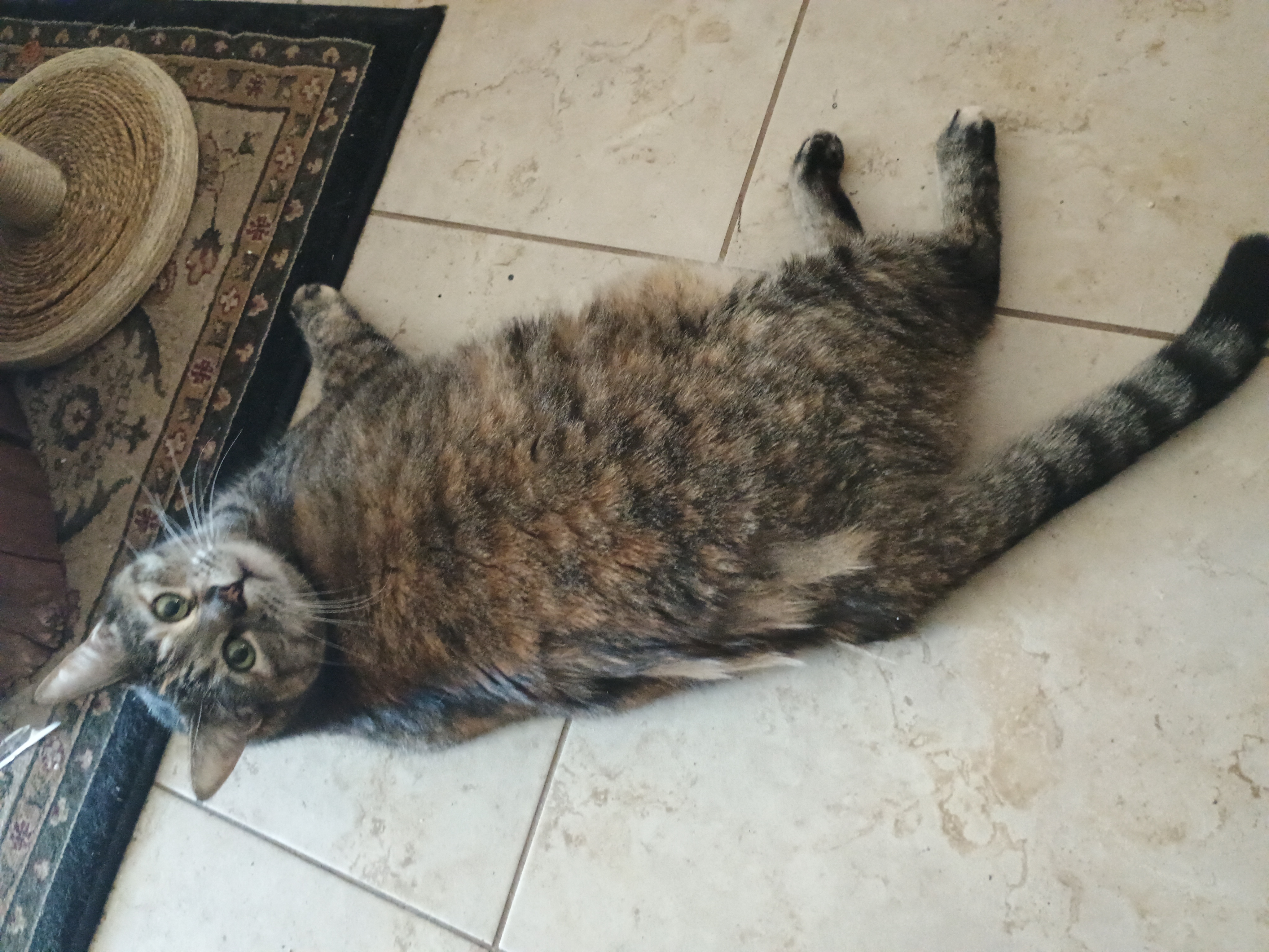 Freyja