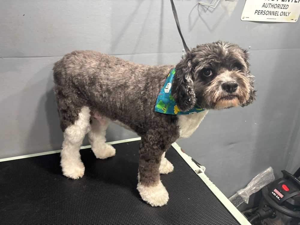Benny