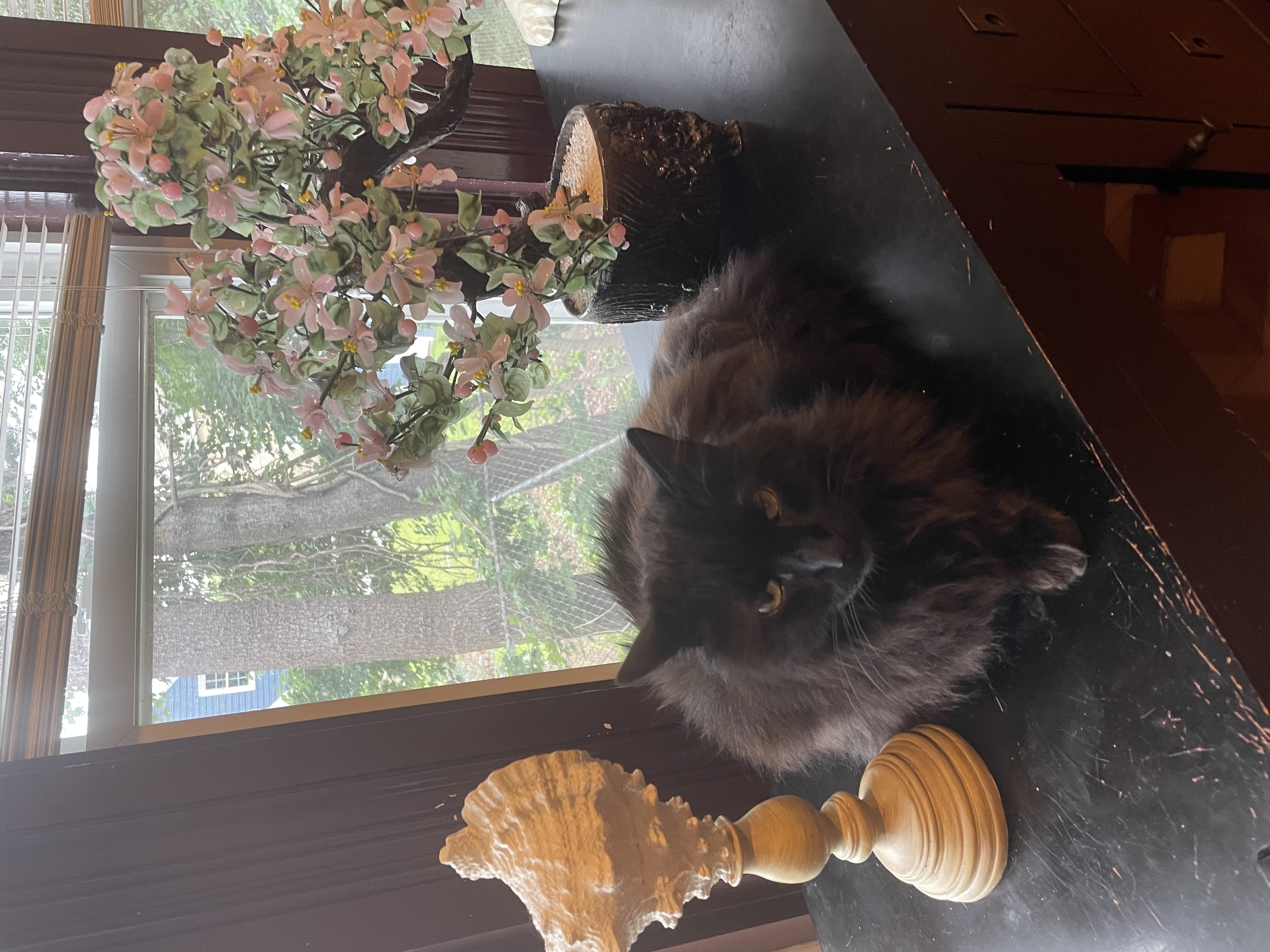 Fluffy