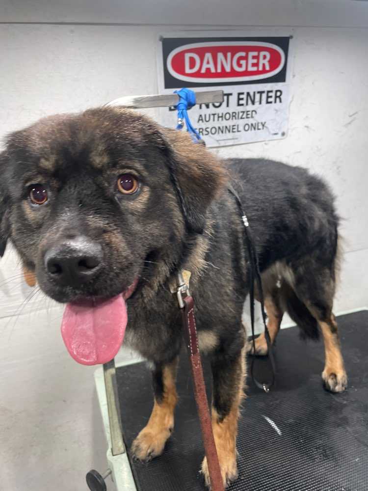 Coco