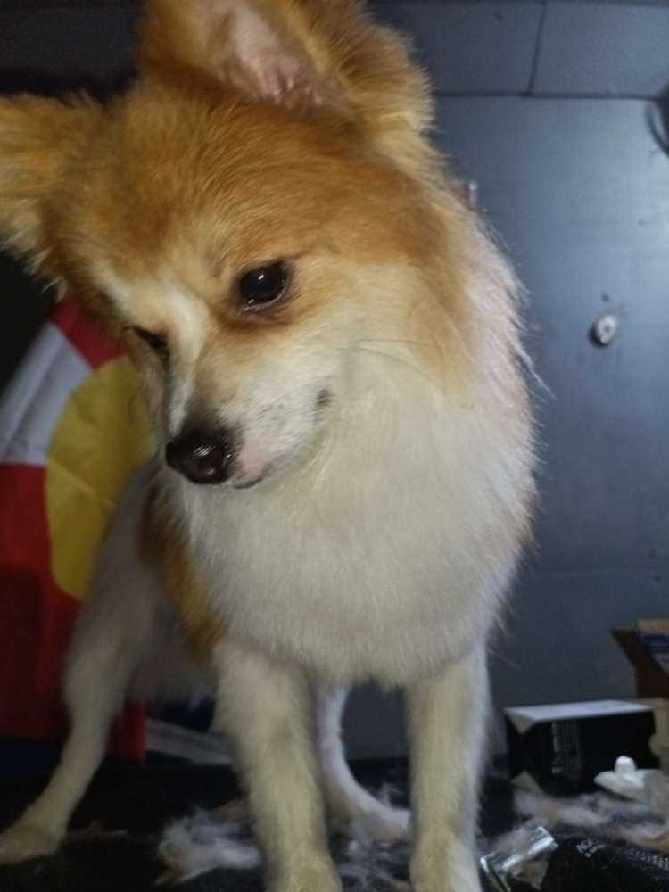 Charlie