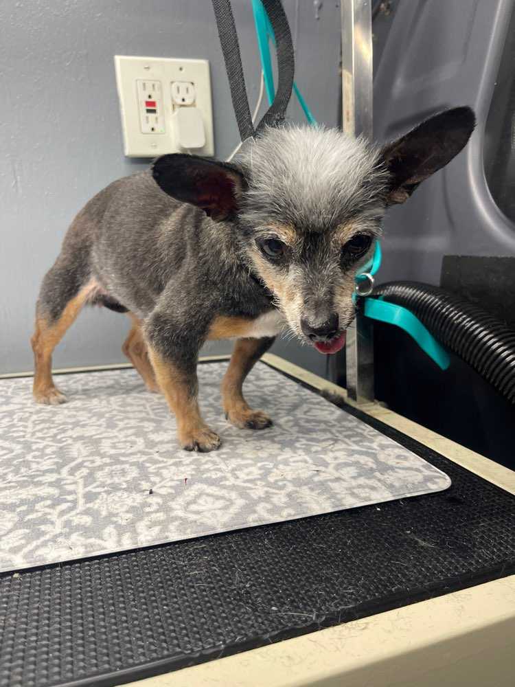 lilbit