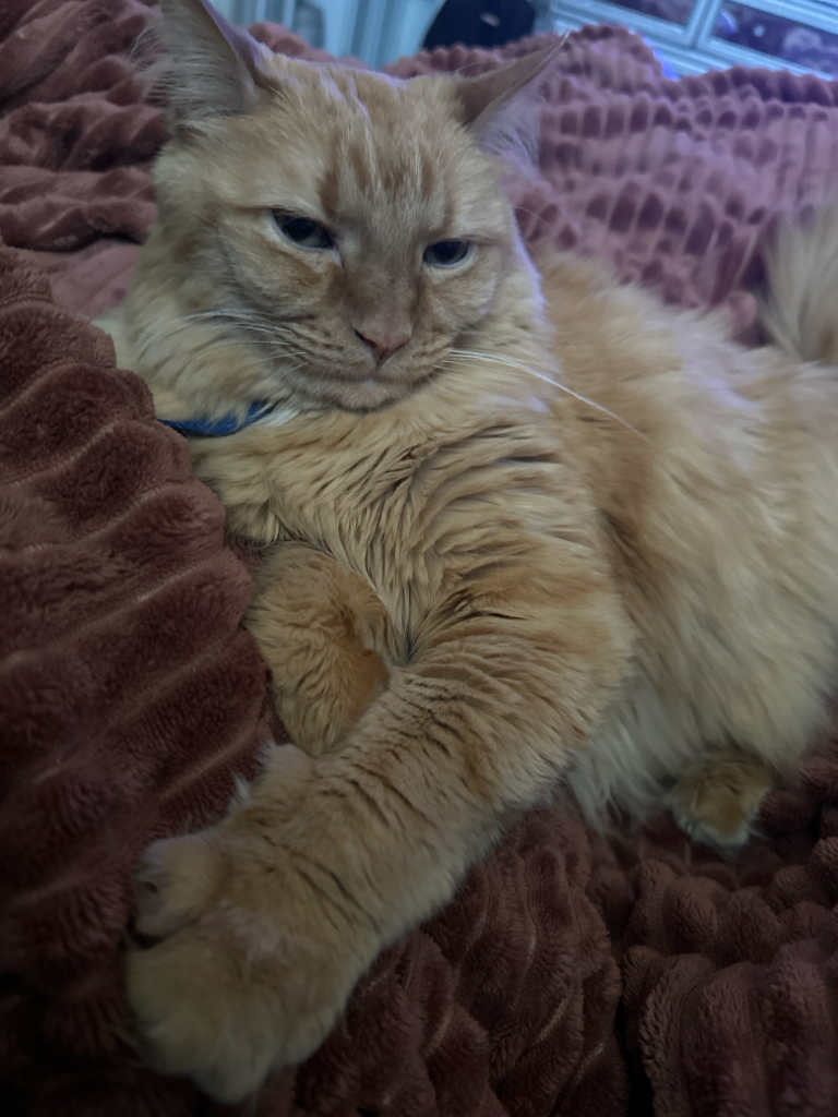 Charlie