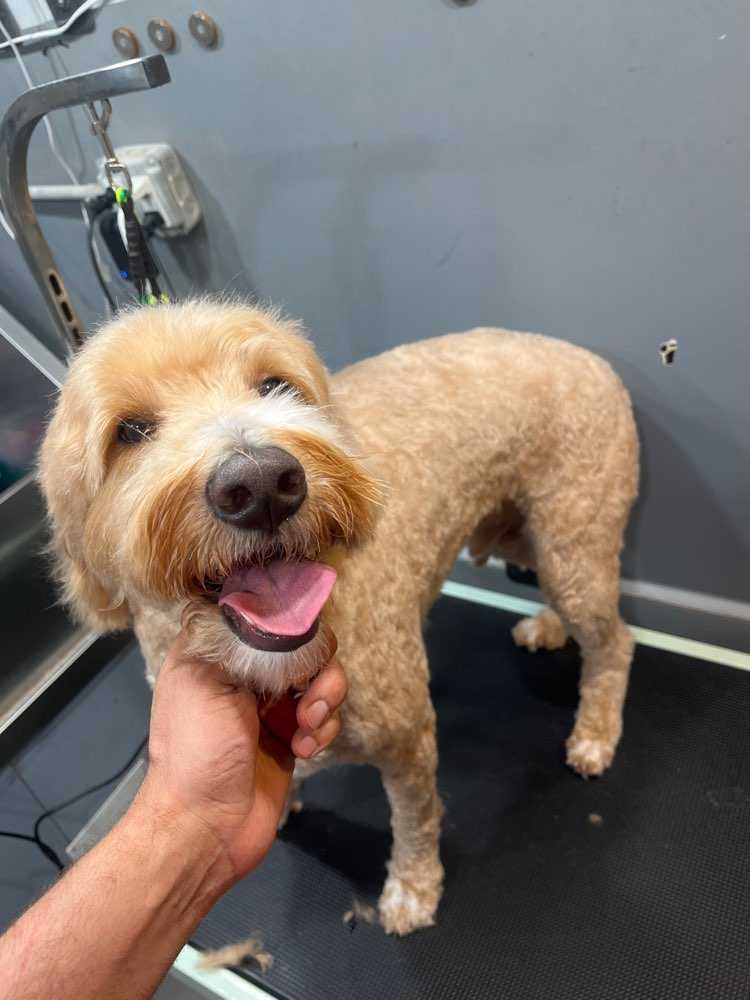 Tucker 