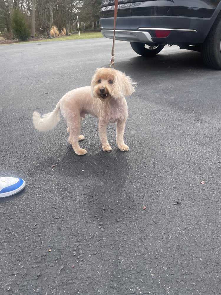 Barkley