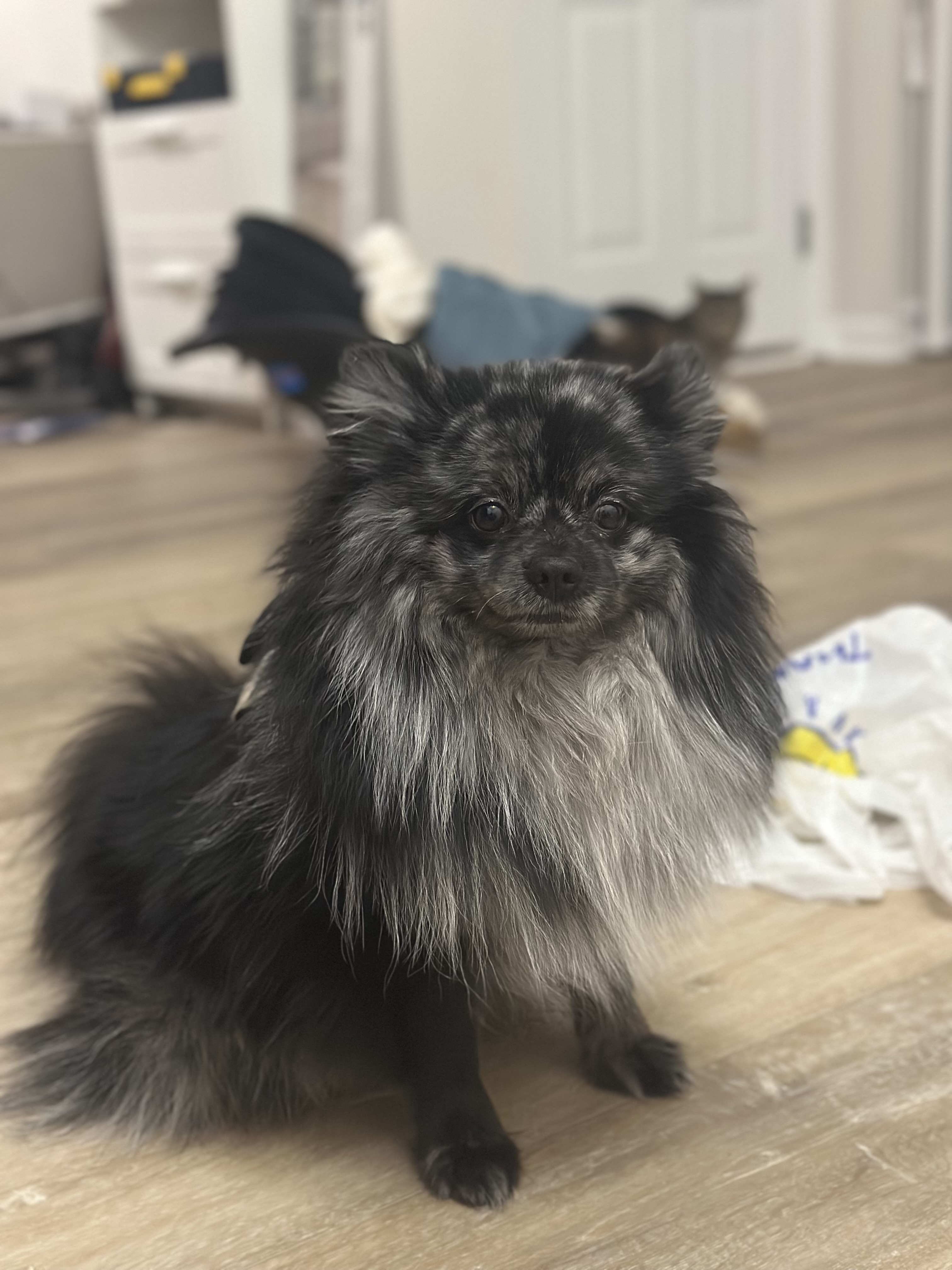 Odin