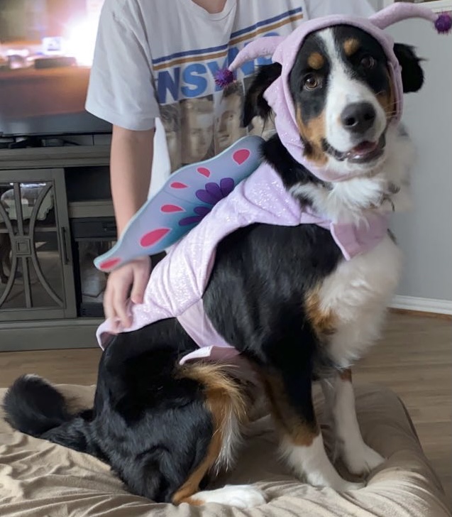 Maggie