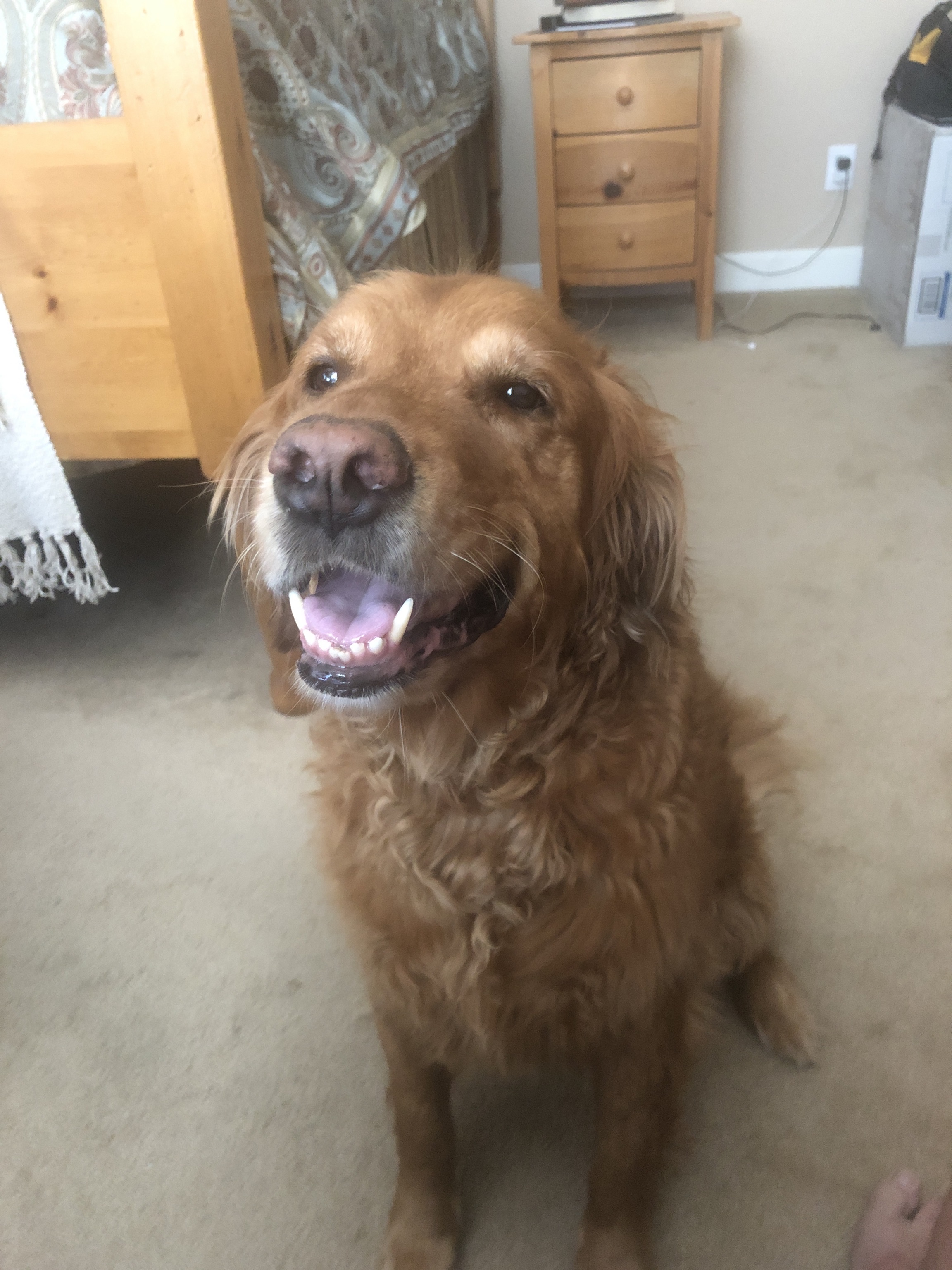Maggie