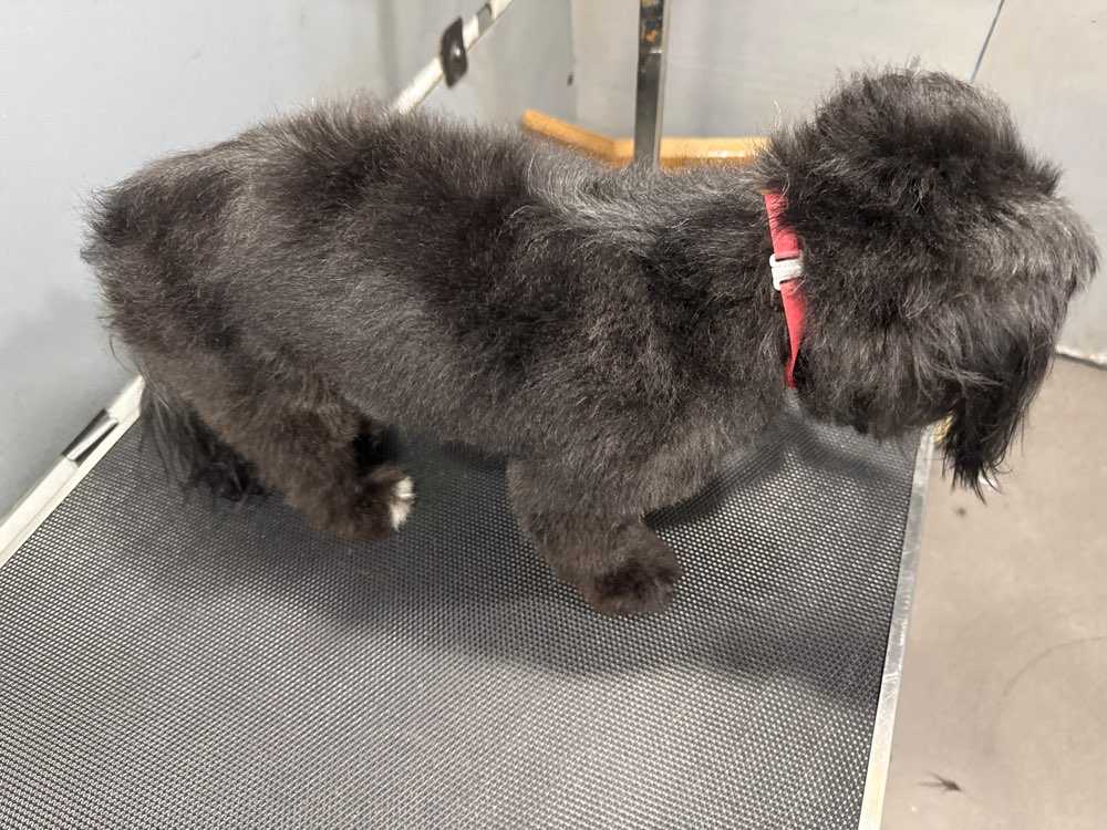 Sebastian