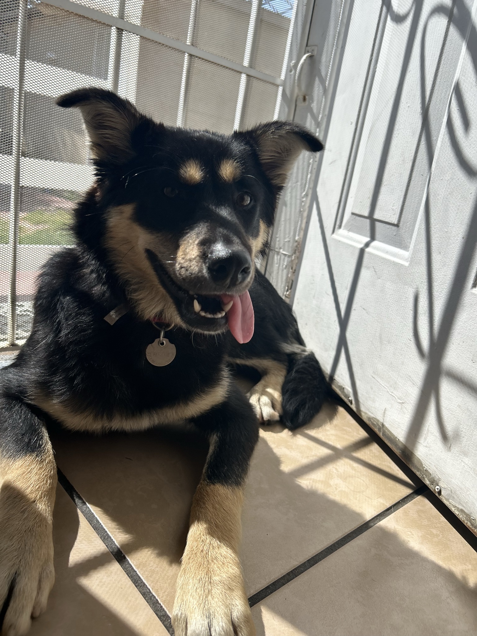 juno