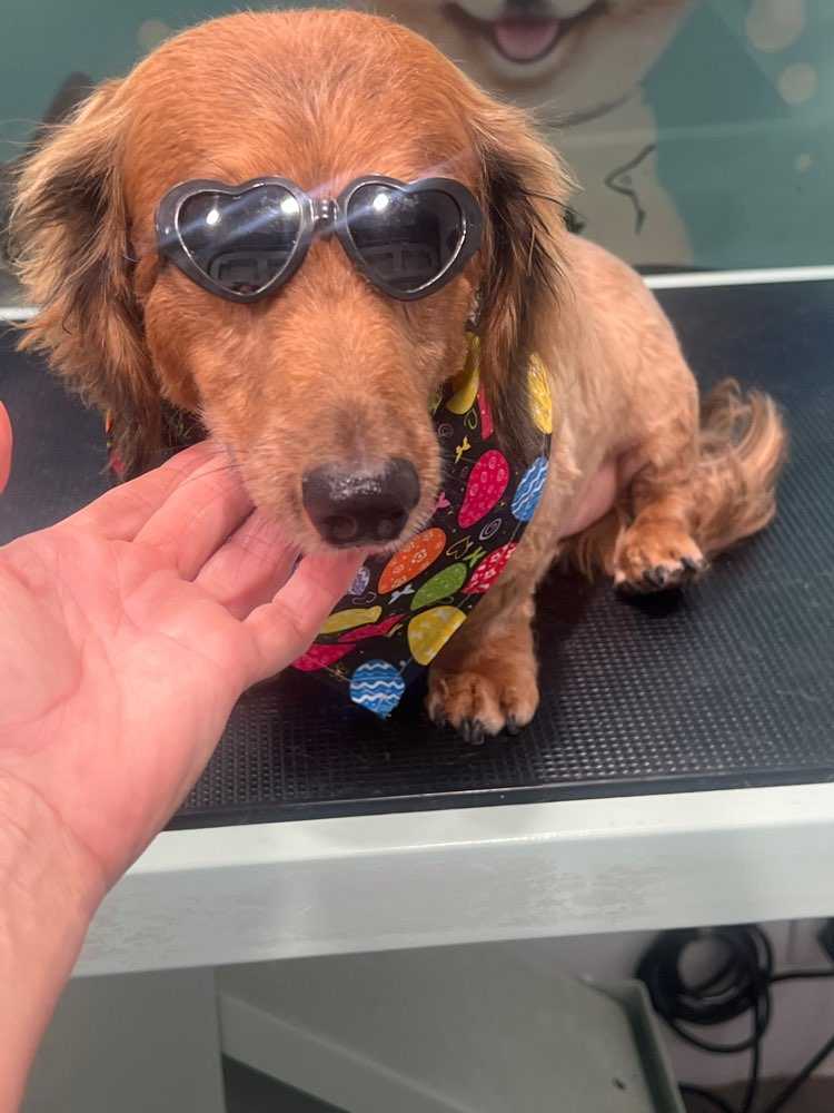 Cooper
