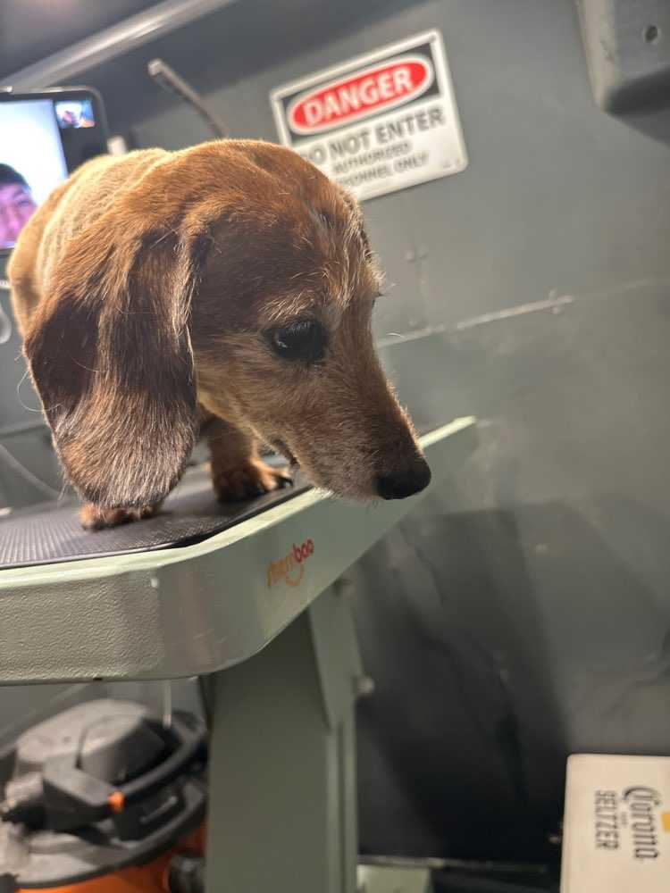 Winnie