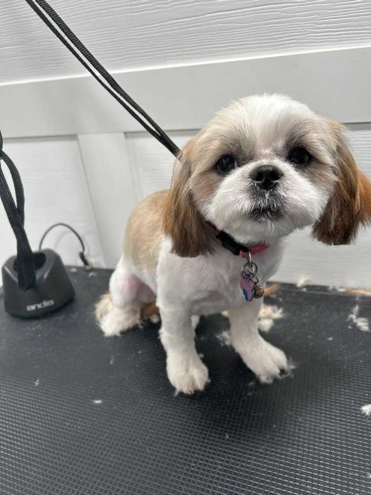 Mindy