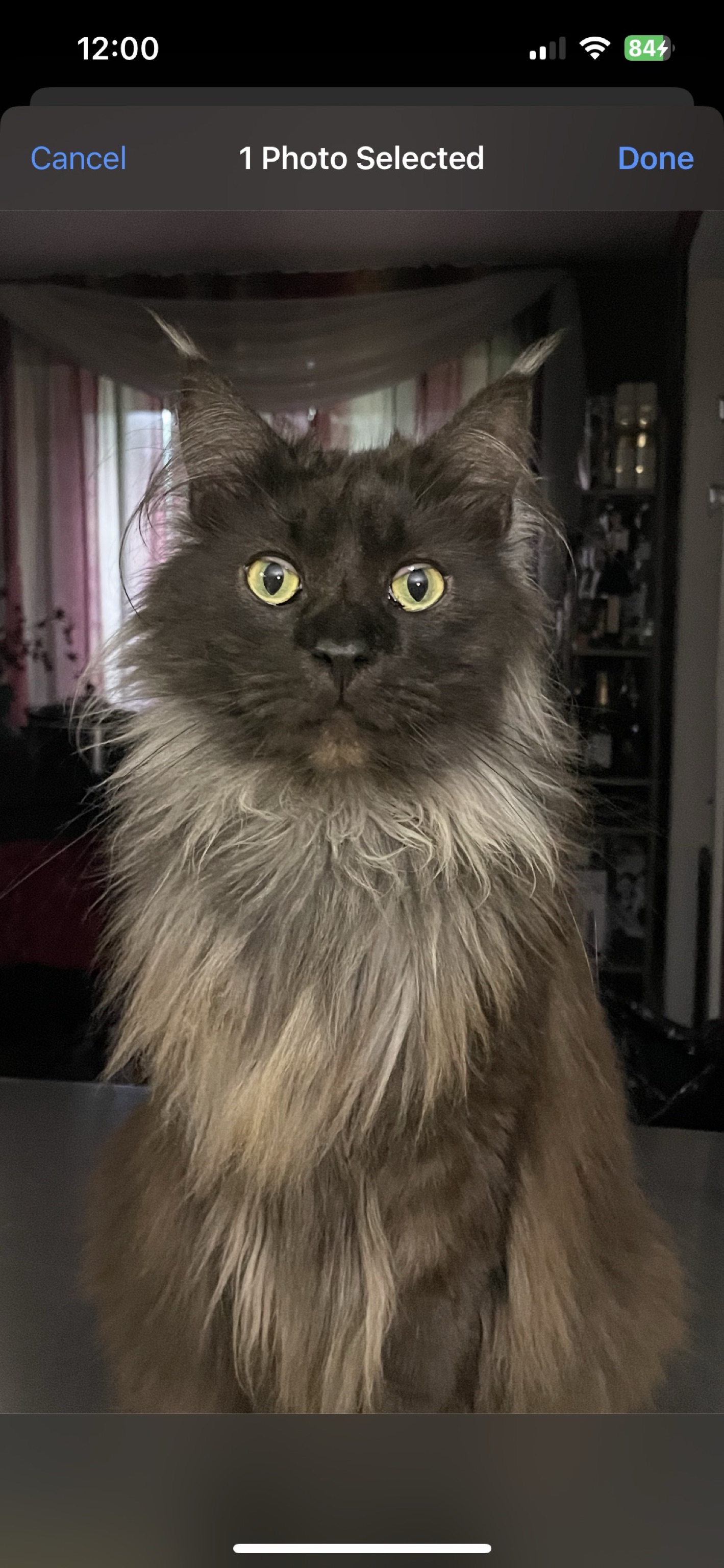 Binx