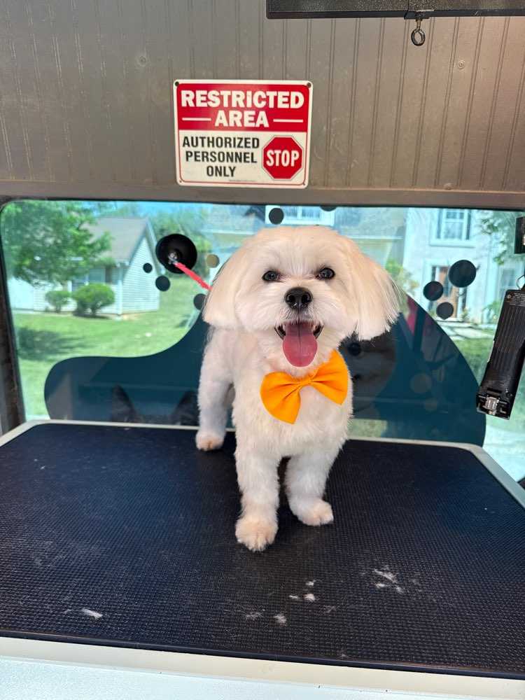 milo