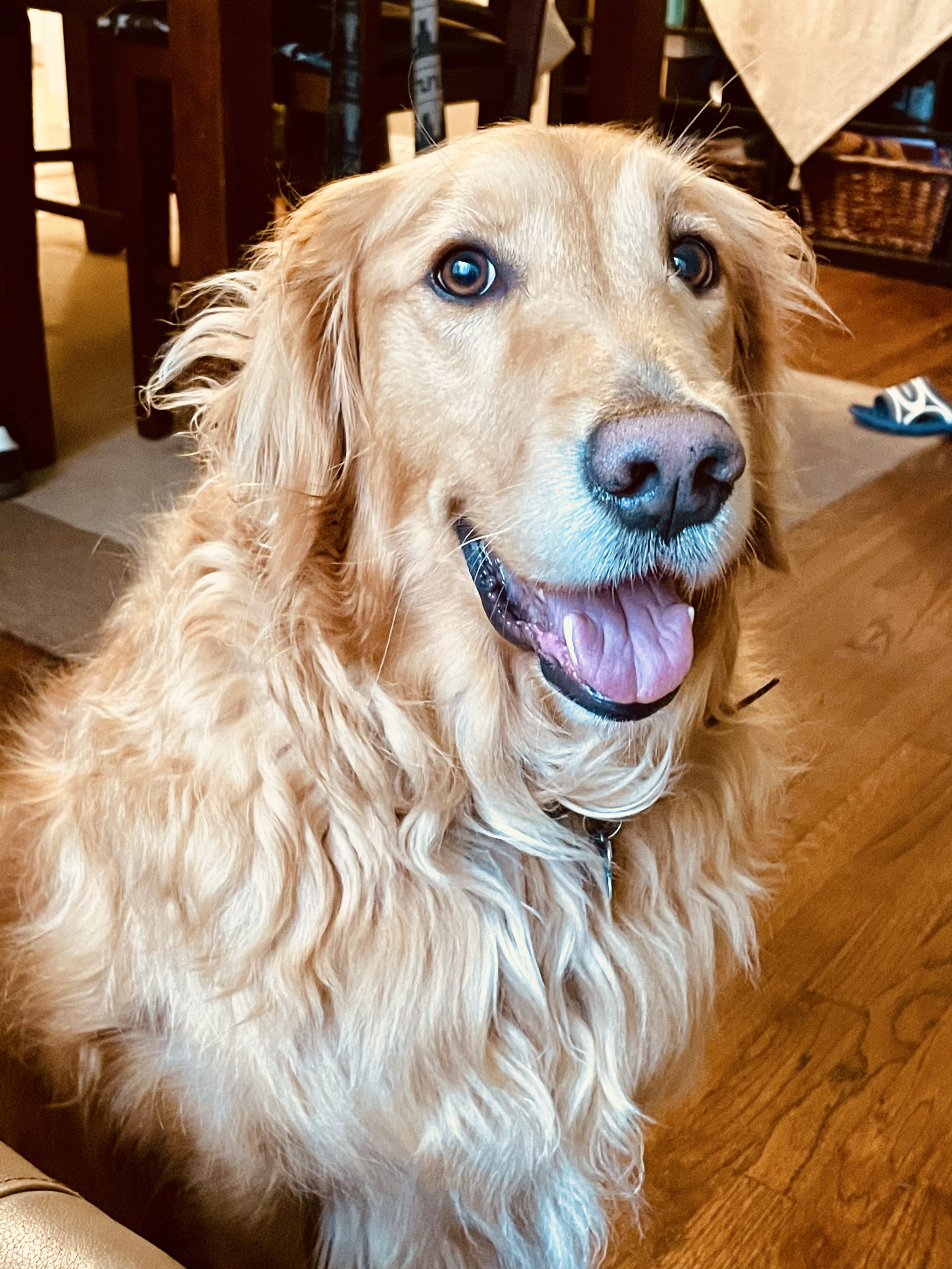 Benny