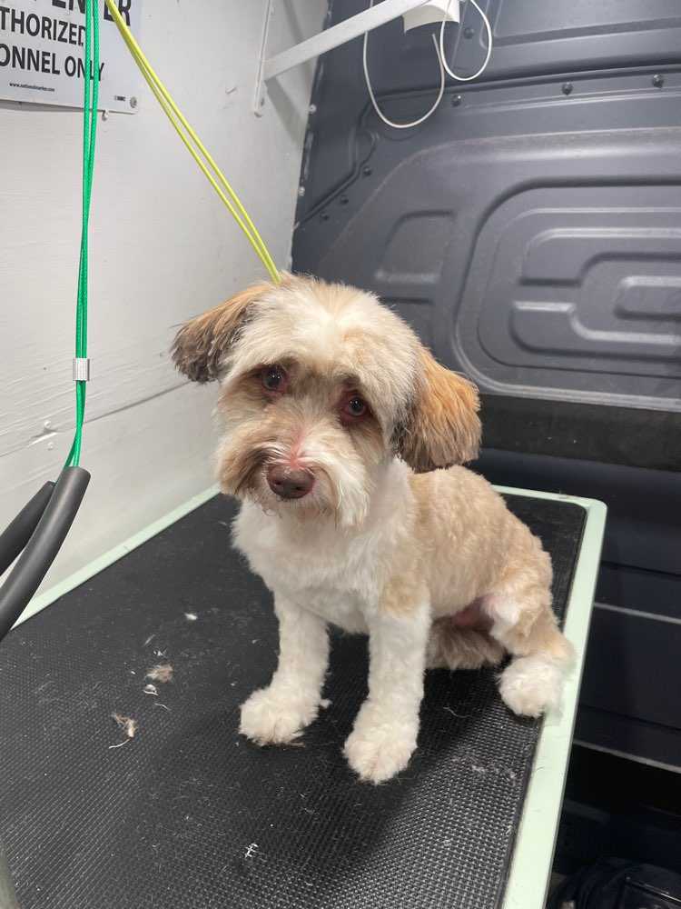 Sophie