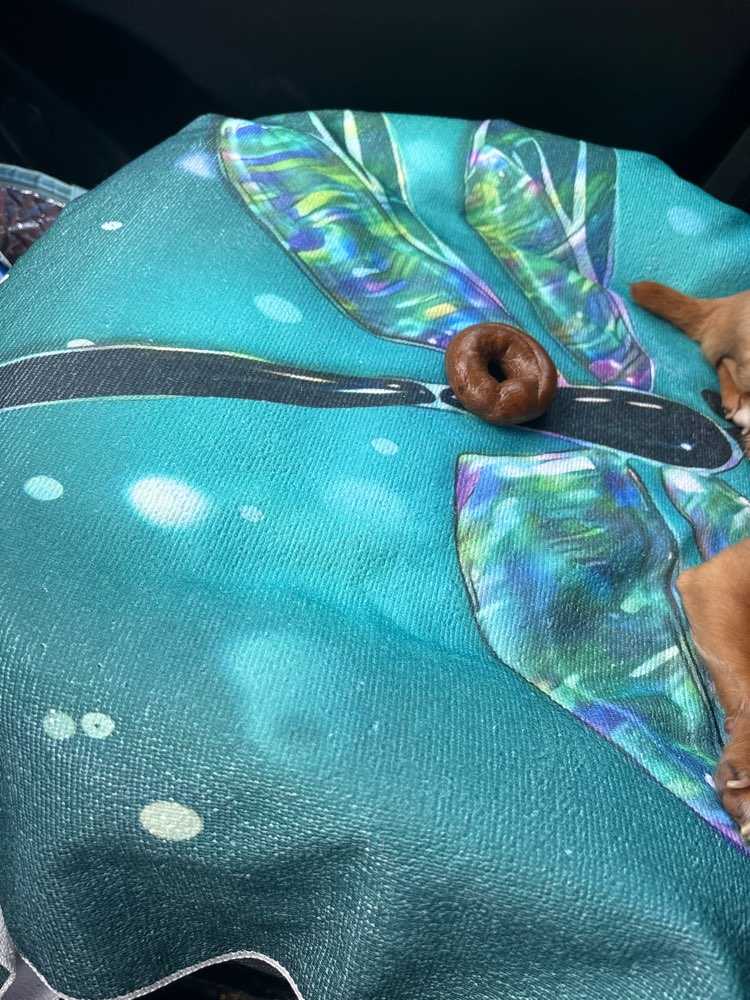 louie