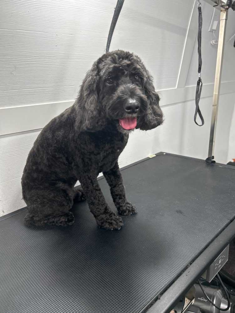 pepper