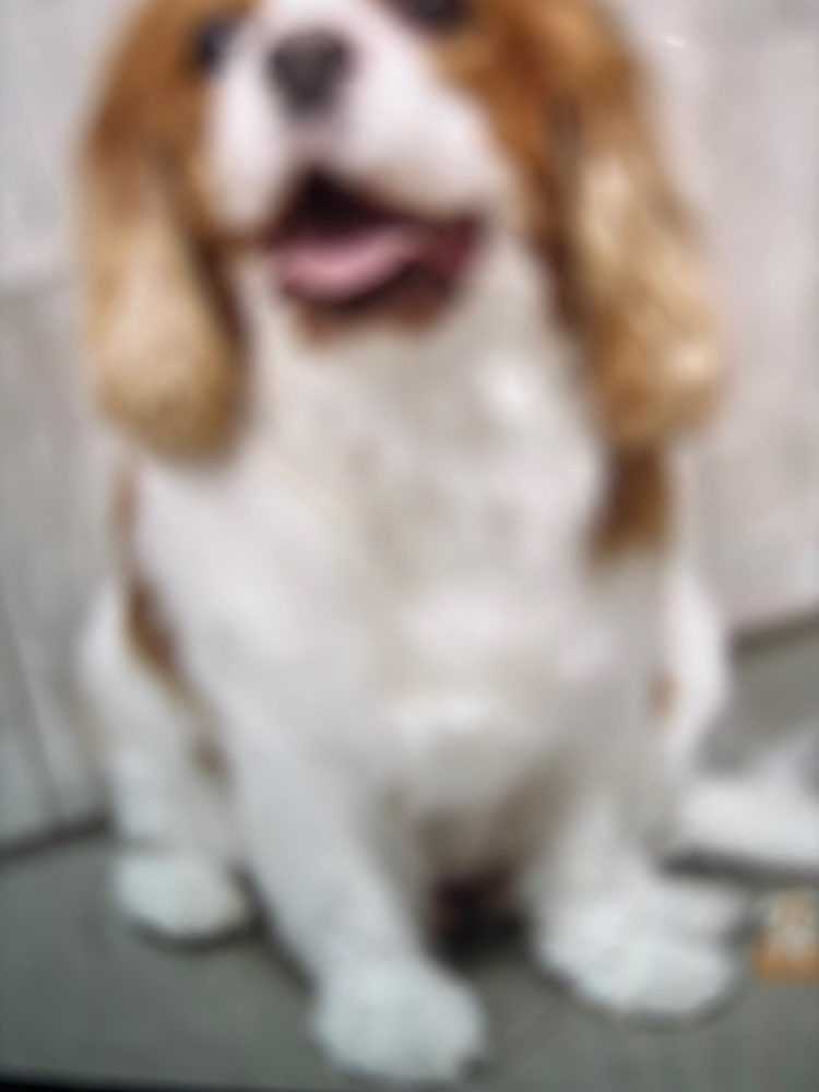 Rusty