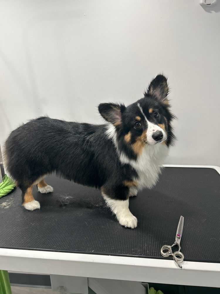 Yuki
