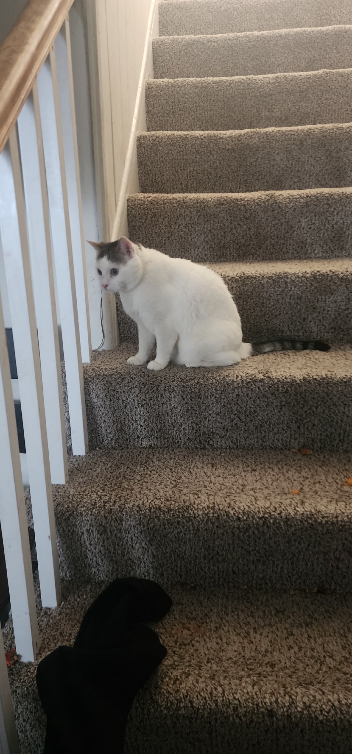Precious