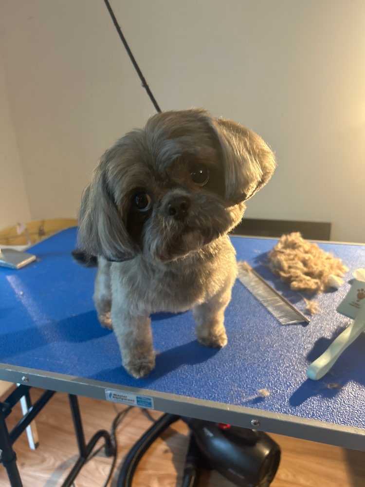 murphy