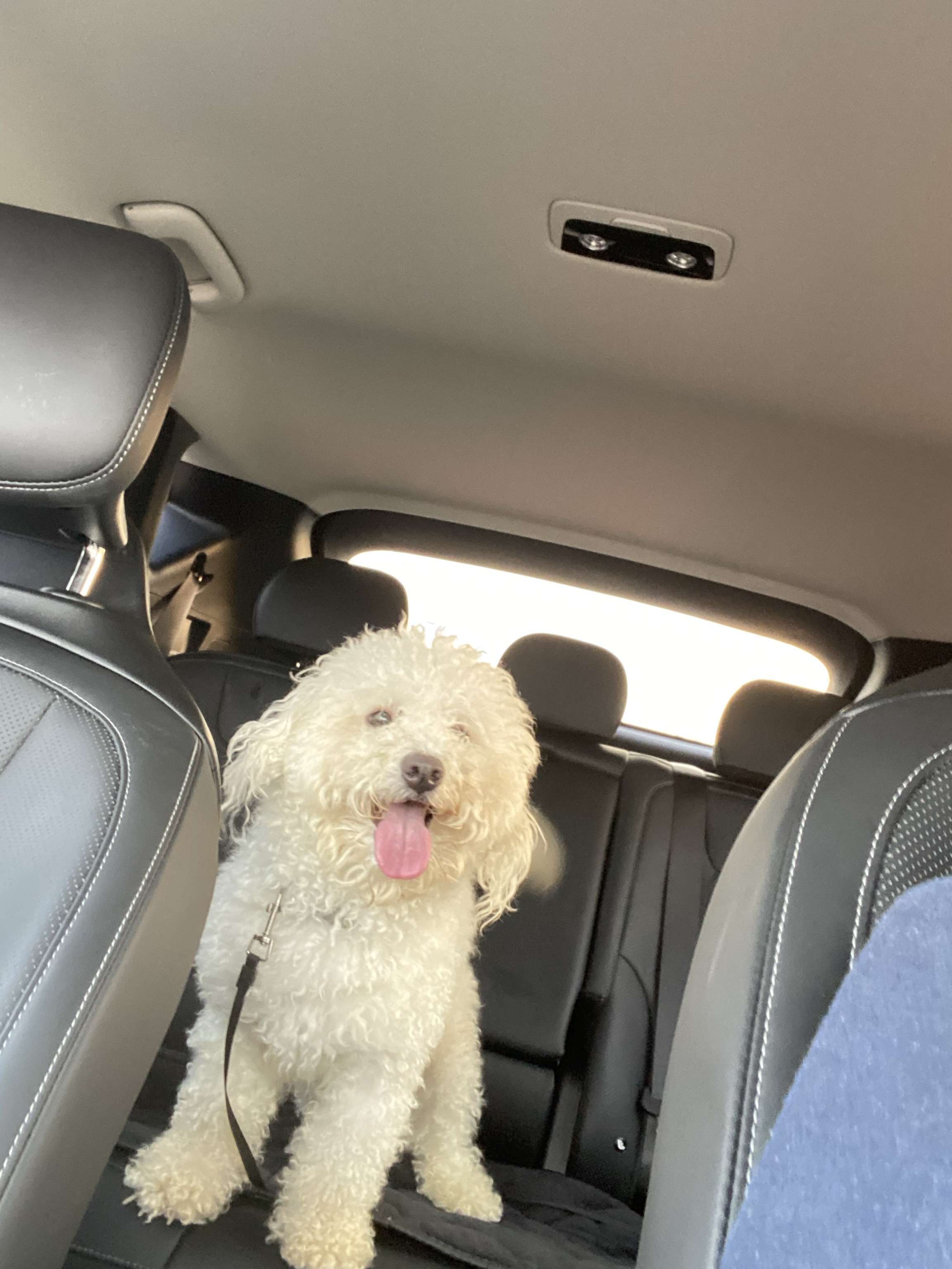 Milo