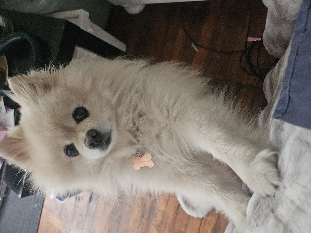 Roscoe