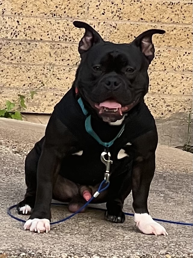 Max