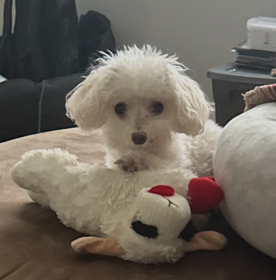 Meelo