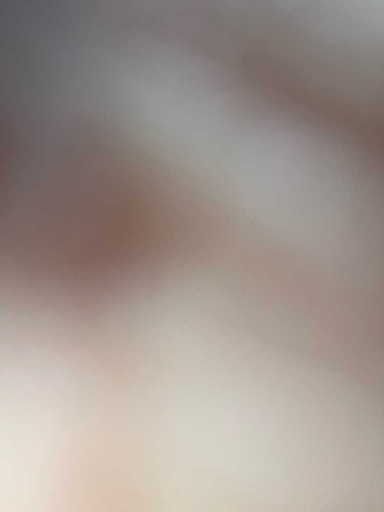 Dog Pet Photo
