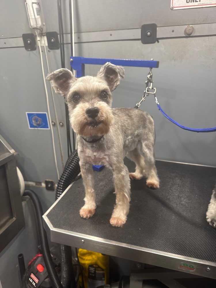 Max