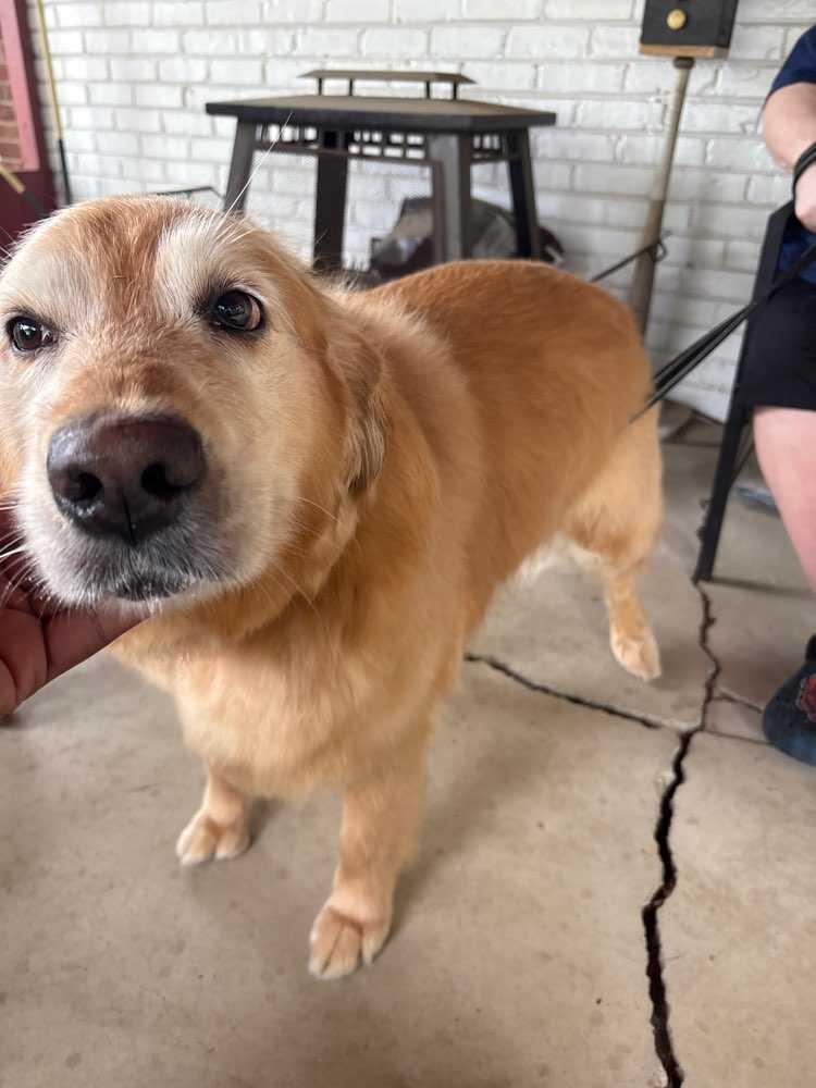 Ellie