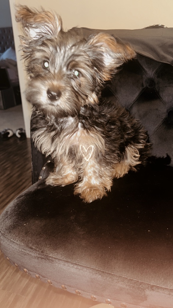 Chubs