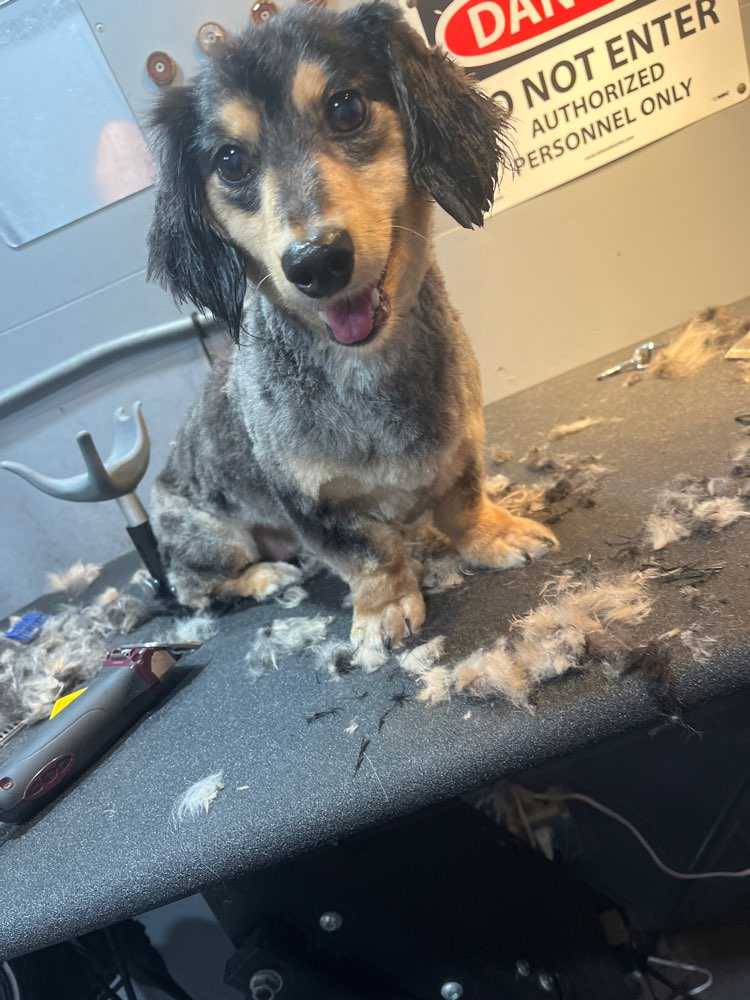 Wally
